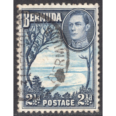 BERMUDA SCOTT 120
