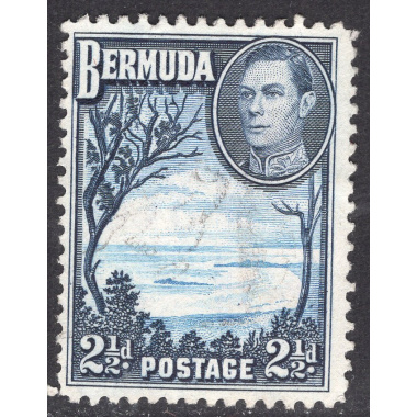 BERMUDA SCOTT 120
