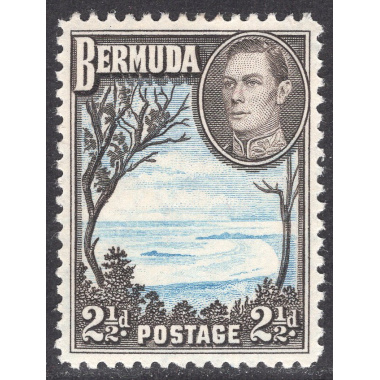 BERMUDA SCOTT 120A