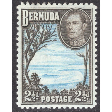 BERMUDA SCOTT 120A