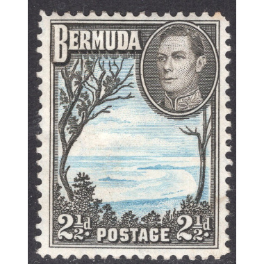 BERMUDA SCOTT 120A