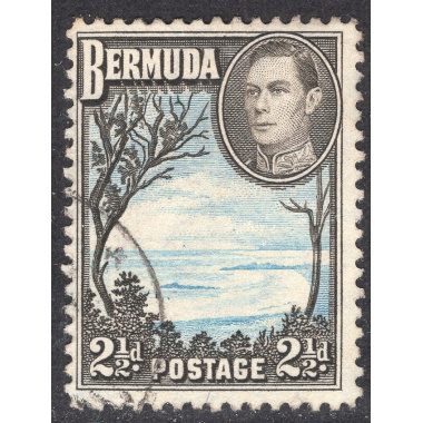BERMUDA SCOTT 120A