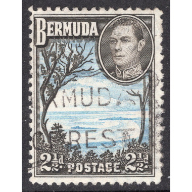 BERMUDA SCOTT 120A