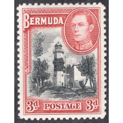 BERMUDA SCOTT 121