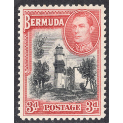 BERMUDA SCOTT 121