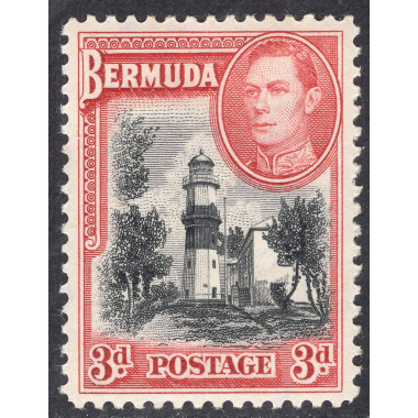 BERMUDA SCOTT 121