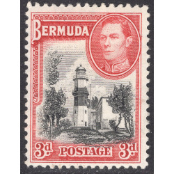 BERMUDA SCOTT 121