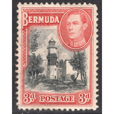 BERMUDA SCOTT 121