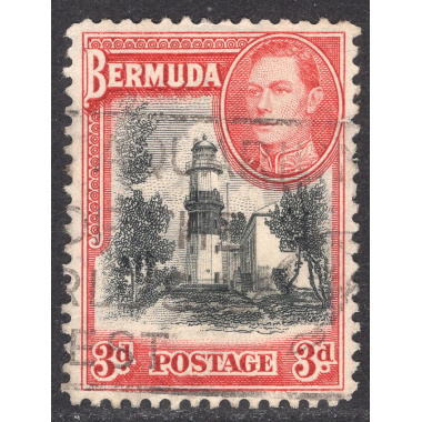 BERMUDA SCOTT 121