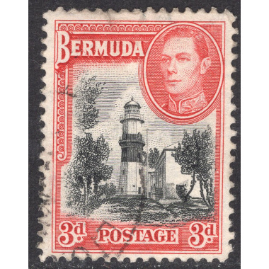 BERMUDA SCOTT 121