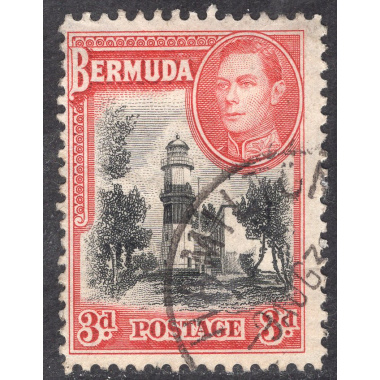 BERMUDA SCOTT 121