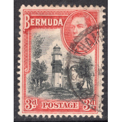 BERMUDA SCOTT 121