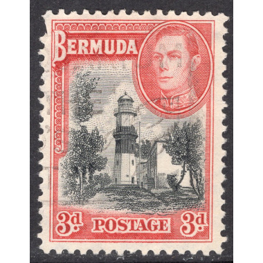 BERMUDA SCOTT 121