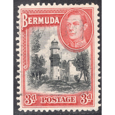BERMUDA SCOTT 121