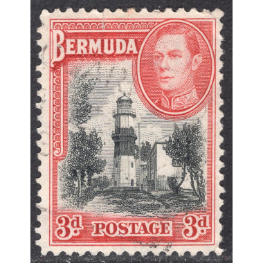 BERMUDA SCOTT 121