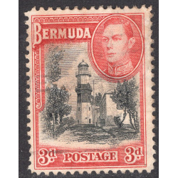 BERMUDA SCOTT 121