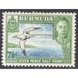 BERMUDA SCOTT 121D
