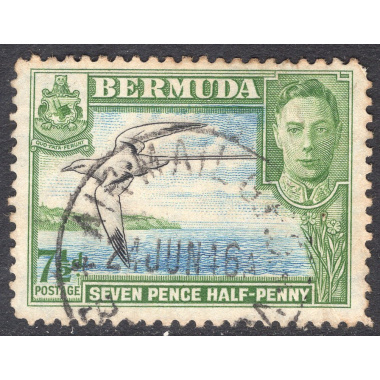 BERMUDA SCOTT 121D
