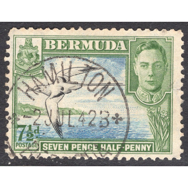 BERMUDA SCOTT 121D
