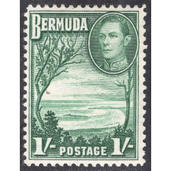 BERMUDA SCOTT 122
