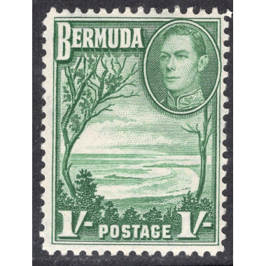 BERMUDA SCOTT 122