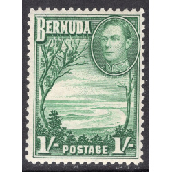 BERMUDA SCOTT 122