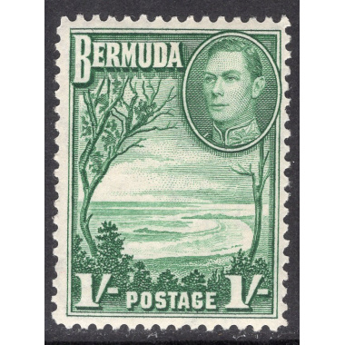 BERMUDA SCOTT 122