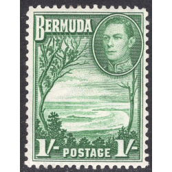 BERMUDA SCOTT 122