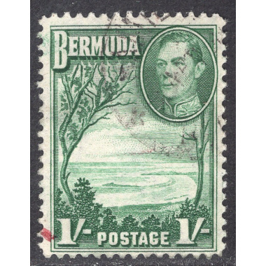BERMUDA SCOTT 122
