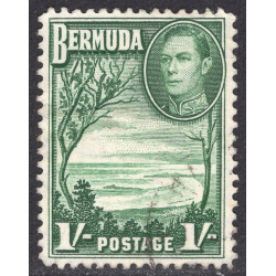 BERMUDA SCOTT 122