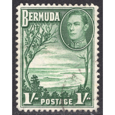 BERMUDA SCOTT 122