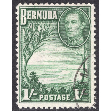 BERMUDA SCOTT 122