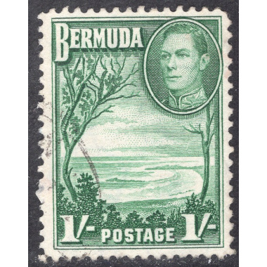 BERMUDA SCOTT 122