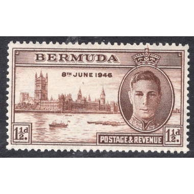 BERMUDA SCOTT 131