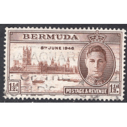 BERMUDA SCOTT 131