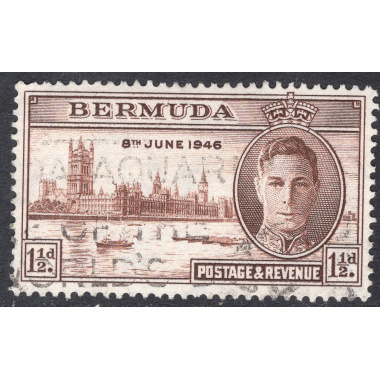 BERMUDA SCOTT 131