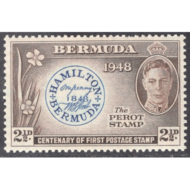 BERMUDA SCOTT 135
