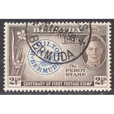 BERMUDA SCOTT 135