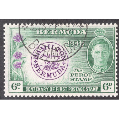 BERMUDA SCOTT 137