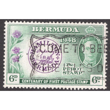 BERMUDA SCOTT 137
