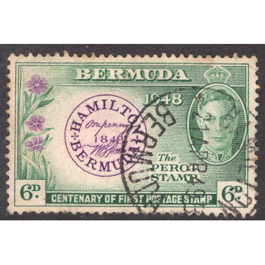 BERMUDA SCOTT 137