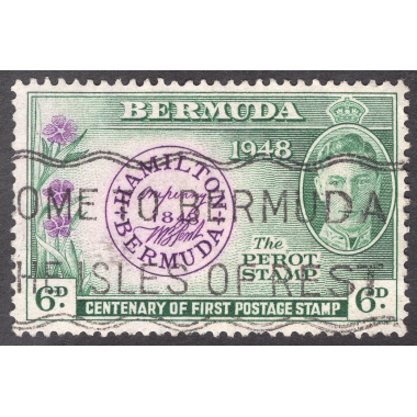 BERMUDA SCOTT 137
