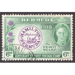 BERMUDA SCOTT 137