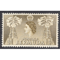 BERMUDA SCOTT 143
