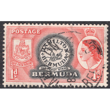 BERMUDA SCOTT 144