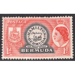 BERMUDA SCOTT 144