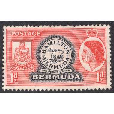 BERMUDA SCOTT 144