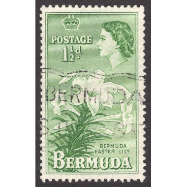 BERMUDA SCOTT 145
