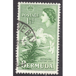 BERMUDA SCOTT 145
