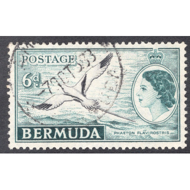 BERMUDA SCOTT 152